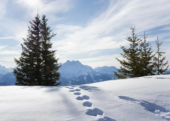 Les Seracs 1 By Interhome